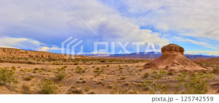 Desert Rock Formation and Mountains Panorama at Eye Level 125742559