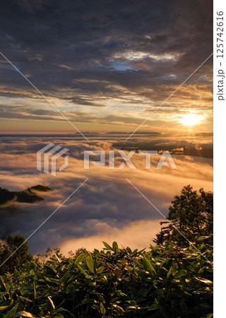雲海 雲海 125742616
