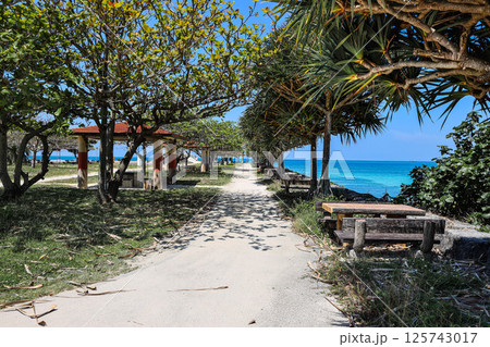 沖縄美々ビーチ海沿いの道 125743017