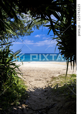 沖縄 海岸 沖縄 海岸 125743225