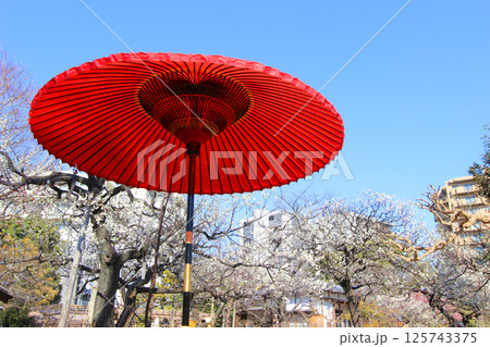 向島百花園 125743375