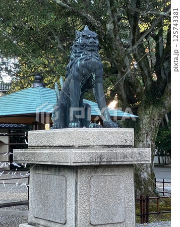 尾山神社の狛犬(石川県金沢市) 尾山神社の狛犬(石川県金沢市) 125743381