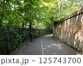 ロンドンの自然あふれる道 125743700