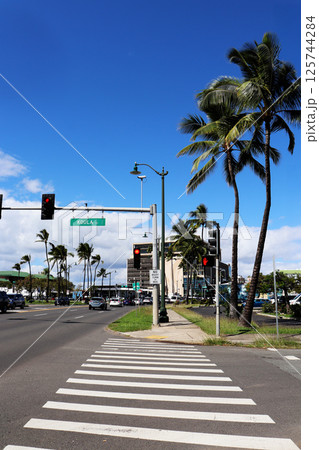 ヤシの木と青空の交差点 125744284