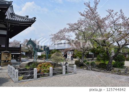 明日香 橘寺 聖徳太子生誕の地 明日香 橘寺 聖徳太子生誕の地 125744842