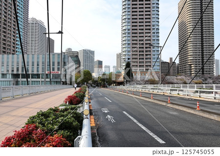 東京都市風景　佃島中央大橋 125745055