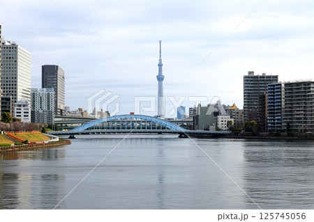 東京都市風景 佃島中央大橋からの眺望 東京都市風景 佃島中央大橋からの眺望 125745056