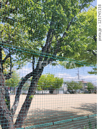 緑のある風景 125745158