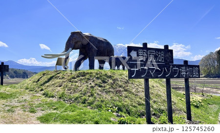 国道18号からの野尻湖ナウマンゾウの親子像と残雪の黒姫山 国道18号からの野尻湖ナウマンゾウの親子像と残雪の黒姫山 125745260