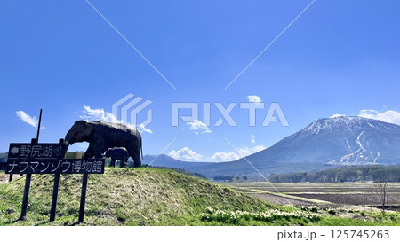 国道18号からの野尻湖ナウマンゾウの親子像と残雪の黒姫山 125745263
