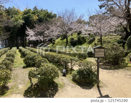 縮景園の茶畑・香菜圃（こうさいほ） 125745290