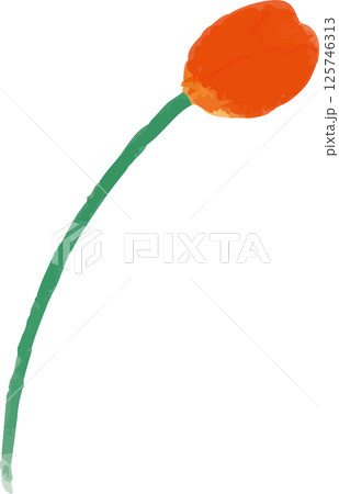 手描き風な一輪の赤いチューリップのイラスト 手描き風な一輪の赤いチューリップのイラスト 125746313