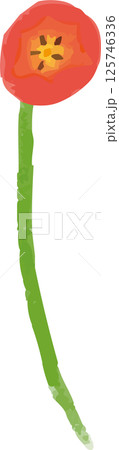 手描き風な一輪の赤いチューリップのイラスト 手描き風な一輪の赤いチューリップのイラスト 125746336