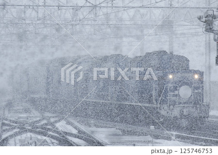 【ARCHIVE】寝台特急北斗星 豪華寝台列車 北斗星 【ARCHIVE】寝台特急北斗星 豪華寝台列車 北斗星 125746753