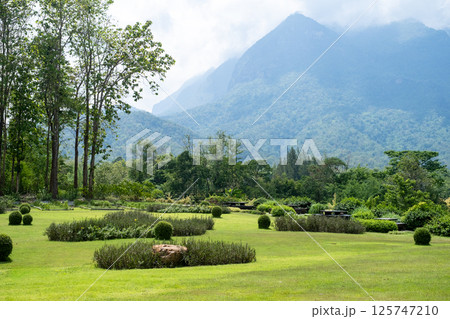 Beautiful of a manicured garden with the majestic Doi Luang Chiang Dao mountain in the background . Chiang Mai Thailand. 125747210