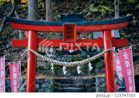 参道の先に佇む赤い鳥居　参道の先に佇む赤い鳥居 125747503