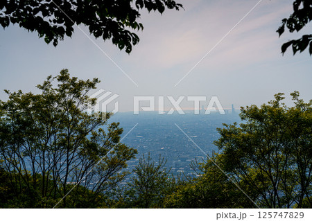 春霞に包まれた大阪平野　大阪府八尾市大阪府民の森駐車場にて 125747829