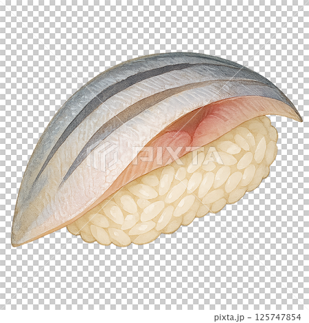 サバの握り寿司のイラスト｜リアル風で質感が美しい一貫ネタ 125747854
