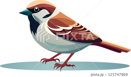 かわいい野鳥のイラスト (スズメ) かわいい野鳥のイラスト (スズメ) 125747869