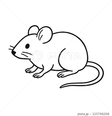 ラットの線画イラスト、アイコン、素材、背景なし、動物シリーズ 125748208