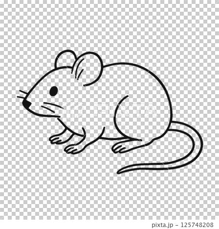 ラットの線画イラスト、アイコン、素材、背景なし、動物シリーズ 125748208