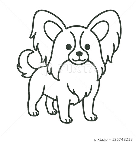 パピヨンの線画イラスト、アイコン、素材、背景なし、動物シリーズ 125748215