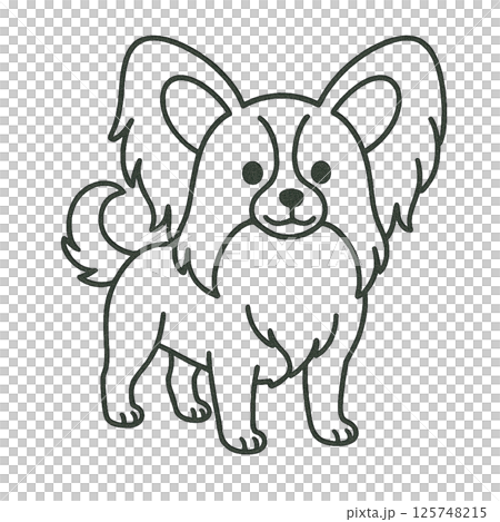 パピヨンの線画イラスト、アイコン、素材、背景なし、動物シリーズ 125748215