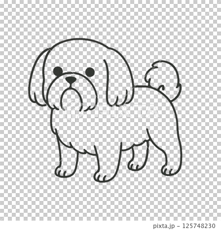 シーズーの線画イラスト、アイコン、素材、背景なし、動物シリーズ 125748230