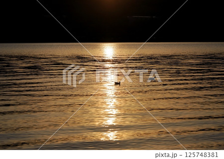 夕日に輝く水面 125748381