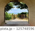 アーチ越しに望む沖縄の海と緑の風景 125748596