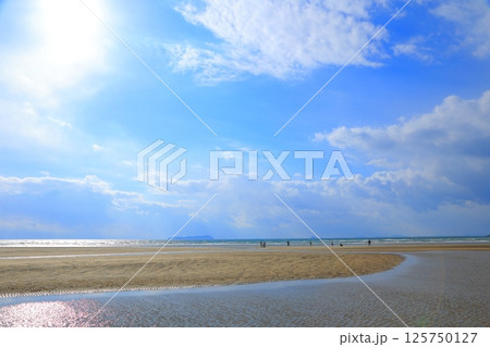 香川県 三豊市 父母ヶ浜 125750127