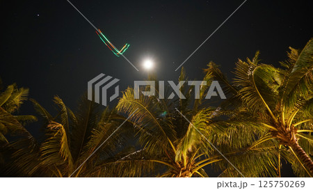 Bright moon shining over palm trees at night Bright moon shining over palm trees at night 125750269