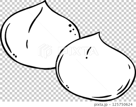 Macadamia Nuts  Colored Detailed Illustration. 125750624