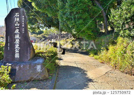豊臣秀吉が小田原城攻めで築いた「石垣山一夜城歴史公園 」破城の跡 豊臣秀吉が小田原城攻めで築いた「石垣山一夜城歴史公園 」破城の跡 125750972