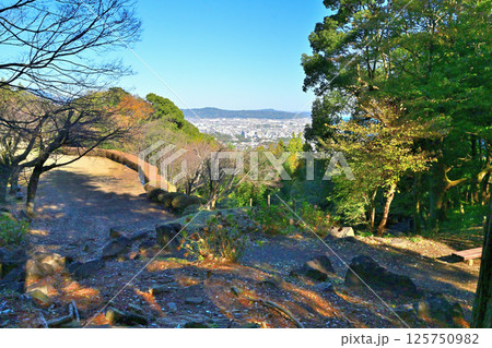 豊臣秀吉が小田原城攻めで築いた「石垣山一夜城歴史公園 」破城の跡 125750982