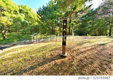 豊臣秀吉が小田原城攻めで築いた「石垣山一夜城歴史公園 」破城の跡 豊臣秀吉が小田原城攻めで築いた「石垣山一夜城歴史公園 」破城の跡 125750987