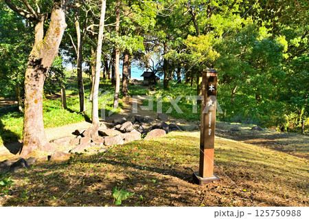豊臣秀吉が小田原城攻めで築いた「石垣山一夜城歴史公園 」破城の跡 豊臣秀吉が小田原城攻めで築いた「石垣山一夜城歴史公園 」破城の跡 125750988