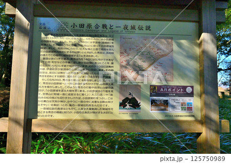豊臣秀吉が小田原城攻めで築いた「石垣山一夜城歴史公園 」破城の跡 豊臣秀吉が小田原城攻めで築いた「石垣山一夜城歴史公園 」破城の跡 125750989