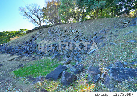 豊臣秀吉が小田原城攻めで築いた「石垣山一夜城歴史公園 」破城の跡 豊臣秀吉が小田原城攻めで築いた「石垣山一夜城歴史公園 」破城の跡 125750997