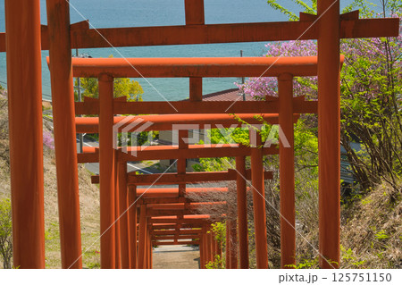 天橋立を別のビューポイントから眺める。 125751150