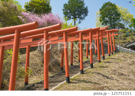 天橋立を別のビューポイントから眺める。 天橋立を別のビューポイントから眺める。 125751151