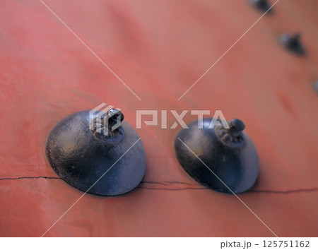 20年以上前の東京の風景 港区増上寺 三解脱門の乳金具 125751162