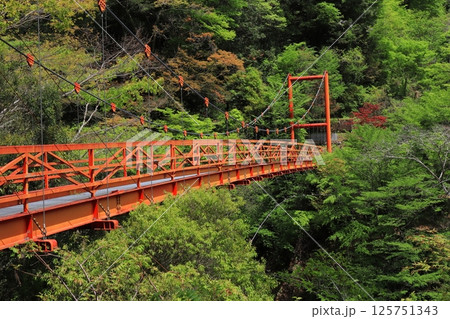 高知県 仁淀川町 安居渓谷 宝来橋 高知県 仁淀川町 安居渓谷 宝来橋 125751343