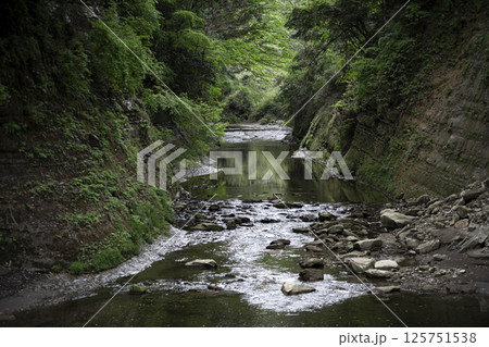 千葉県養老渓谷の新緑 125751538
