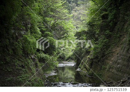 千葉県養老渓谷の新緑 125751539