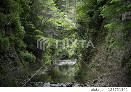 千葉県養老渓谷の新緑 125751542
