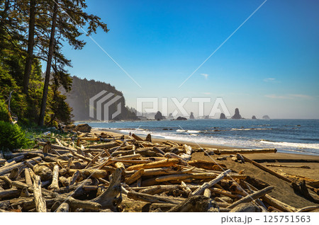 Driftwood and Sea Stacks at La Push Third Beach, Washington State Driftwood and Sea Stacks at La Push Third Beach, Washington State 125751563