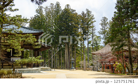 世界遺産高野山　壇上伽藍　金堂と中門　和歌山県 125751761