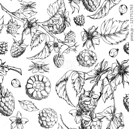 Raspberry garden berries leaves flowers on thorny spiked branch. Ripe cloudberry dewberry mulberry hand drawn in vector ink. Isolated seamless pattern. Home preserves, grocery store, packaging paper 125751763