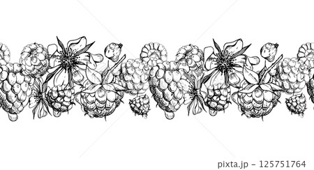 Raspberry ripe garden berries, flowers in water dew drops hand drawn in vector ink. Seamless isolated banner garland. Home preserves, textile washi tape, food store decor, recipe book, dessert menu 125751764